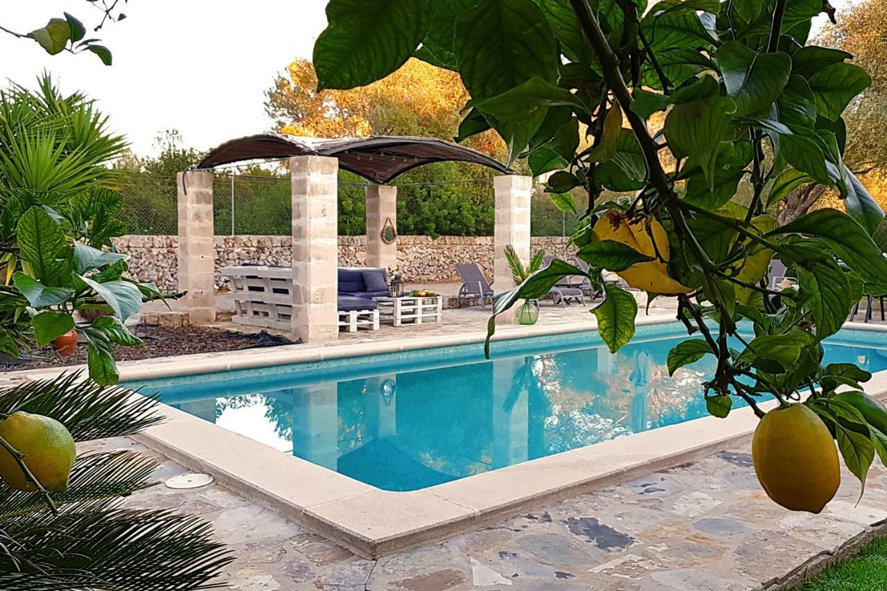 ฟิงกา อิซาเบล แอนด์ กีเยร์โม Villa ซีเนว ภายนอก รูปภาพ